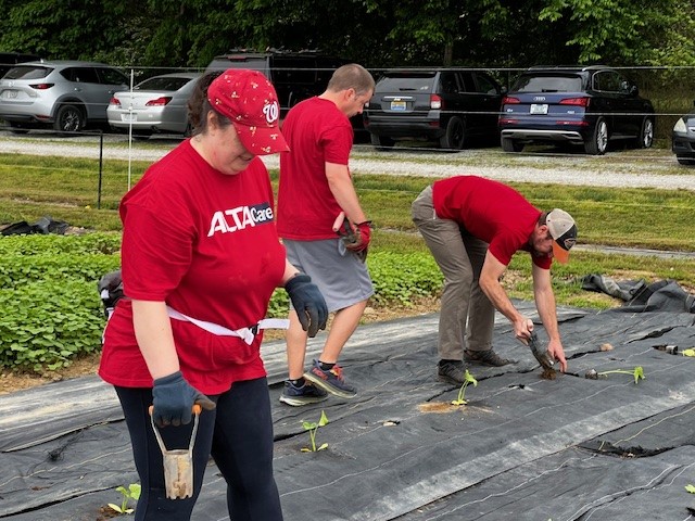 Shalom Farms 2024 Team at work Picture 3