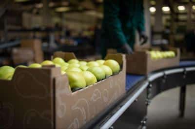 bc303e9a-6af0-4b9d-8b55-c26959224e8b_FIXED_WIDTH_400 (1)